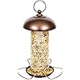 iBorn Metal Bird Feeders For Small Birds, Mix Seed Feeder Feeder Hanging for Attracting More Birds，Copper 1 Pack