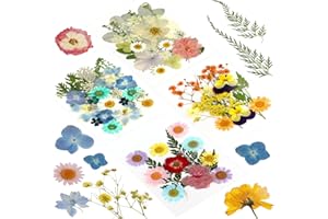 QUUYLIN Getrocknete Blumen, 84 Stück Gepresste Blumen, Natürliche Getrocknete Blumen, DIY Getrocknete Blüten, Gepresste Blüten, für Harz Schmuck Machen, Seifenherstellung, Fotorahmen, Scrapbook, Handyhüllen