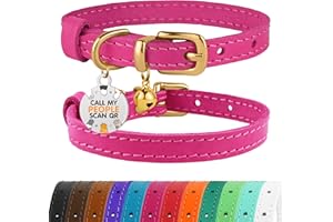 BRONZEDOG Collier pour Chat en Cuir avec Médaille QR-ID Amovible – Collier pour Chaton avec Grelots, Non-Anti-Étranglement, pour Femelles & Mâles (Rose & Or, 23-28 cm)