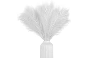 NINA-MARIA'S DEKO GOLD Sztuczna trawa pampasowa, mala, kolor śnieżnobiały, 5 lodyg, dlugosc 55 cm, do salonu, sztuczne kwiaty do sypialni, na wesele, dekoracja boho