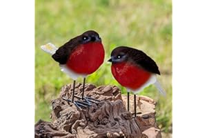 GloBrite Set of 2 Robin Garden Ornaments – Outdoor Resin Bird Statues for Yard or Patio, Realistic Animal Decor, Christmas or Gardening Gift Idea
