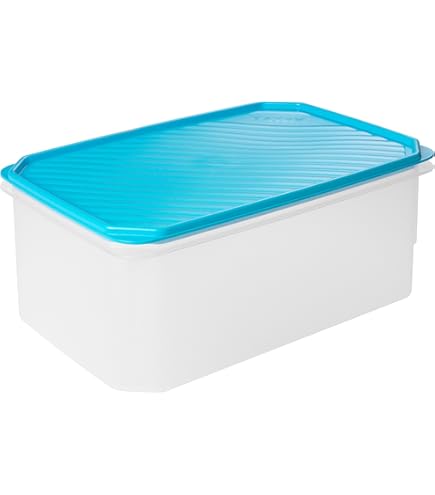 2 BOITES - TUPPERWARE (Gebraucht) in Chiasso für CHF 12 – mit Lieferung