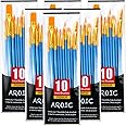 Acrylic Paint Brush Set, 6 Packs / 60 pcs Nylon Hair Brushes for All Purpose Oil Watercolor Painting Artist Professional Kits