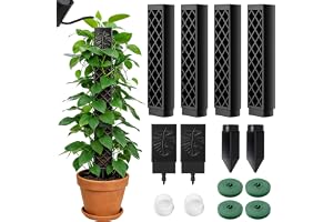 Haoledy Mosspinne, självbevattning, utbyggbar, 4 stycken 24,5 cm, monstera, växtstöd, klätterstöd, ihålig D-formad, växtstav växter tillbehör moss pol, växtstöd, krukväxter