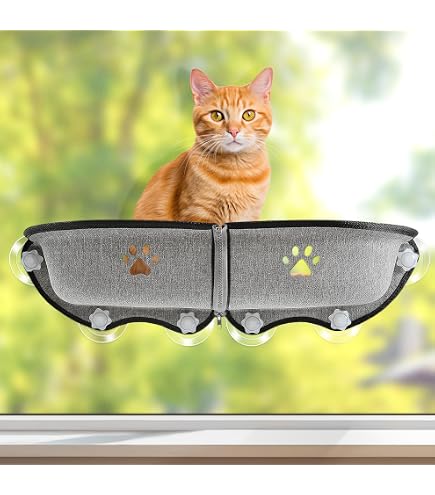 K&H EZ Mount Katzen-Fensterstange Deluxe – Mit Katzengras, Hängematte, Bis 22,7 Kg Halt, Maschinenwaschbar