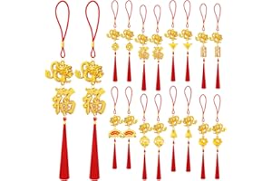JUNEBRUSHS 16Pcs Chinese New Year Decorations 2024 Year of Dragon Lucky Charm Feng Shui Tassel Hanging Pendants Ornaments for New Year Home Health Wealth Success Lucky Decor