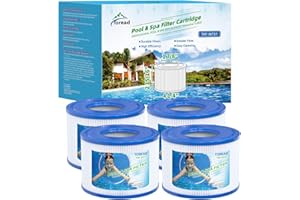 TOREAD POOLPURE Lot de 4 filtres de Rechange PureSpa de Type S1 pour Cartouches de Piscine Easy Set 11692