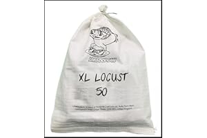 Livefoods4u XL Extra Large Locust Live Food (35-50mm) Bag of 50 - Perfect for Reptiles - Sustainably bred