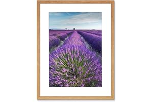 WEE BLUE COO LAVENDER FIELD PROVENCE FRANCE MORNING FLOWERS PHOTO ART FRAMED ART PRINT PICTURE & MOUNT F12X475