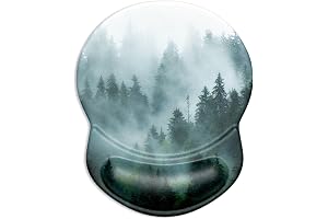 Fog Forest