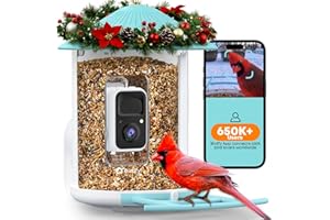 NETVUE by Birdfy Smart Bird Feeder Camera: Auto-Capture Video & Instant Alert, Permanently Collect Fun Clips, Garden Bird Watching Camera Wireless Outdoor, Present for Bird Lover