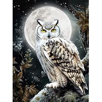 DIY Diamond Painting Enten-Bild – 5D Runde Diamanten, 30x40 Cm, Für Anfänger & Erwachsene