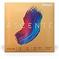 D'Addario Ascente Violin Strings - Violin Strings with Ball Ends, Synthetic Core - A311 1/8M - E String - 1/8 Scale - Medium Tension