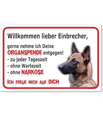 Der Zwergspitz / Pomeranian - Preußenspitz