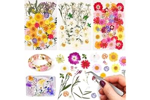 Linkstyle 116 Piezas Naturales Flores Prensadas Secas, Flor secas Reales Mezclada Juego con Pinzas, para Maquillaje Facial Uñas Decoración Tarjetas Velas Joyas jabón Manualidades