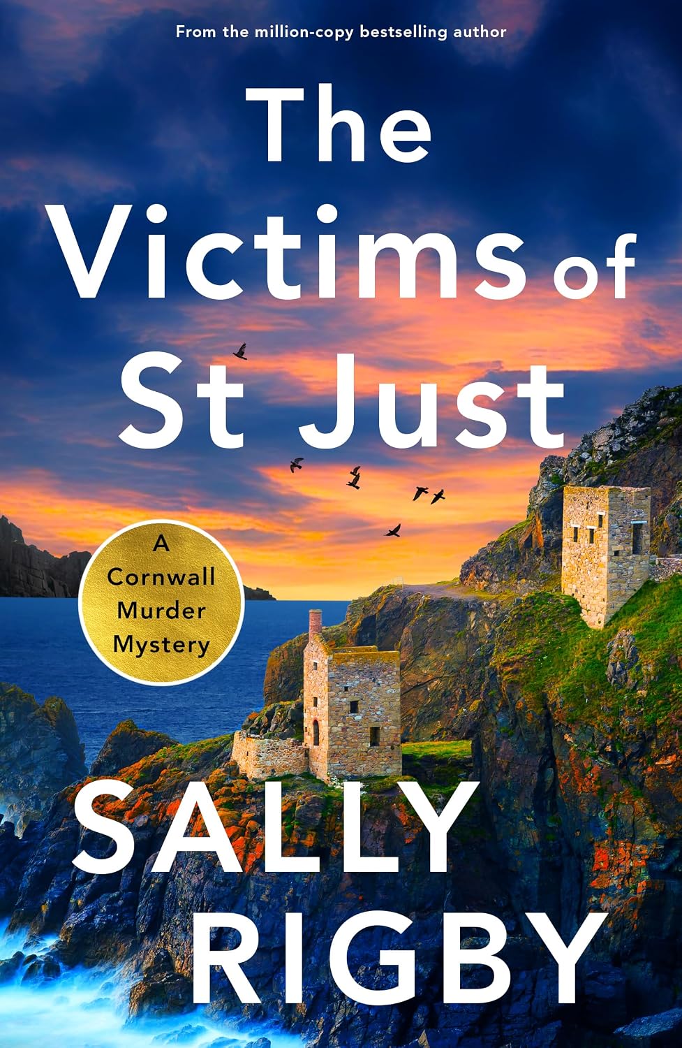 The Liverpool Killings : A Snowdonia Murder Mystery #23 (A DI Ruth Hunter Crime Thriller) - Mise en situation et utilisation