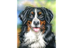 TISHIRON Animali Dipingere con i numeri, Adulti, Carino, Cane, Dipingere con i numeri, per adulti, kit su tela, pittura a olio con pennelli, 40 x 50 cm (senza cornice)