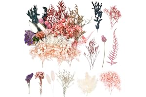 MAKOTO NOBU Flores Secas Naturales Decoracion, Flores Mezcladas Manualidades, Flores Secas Mezcladas, para Resina Decoracion, para Tarjetas Álbum Recorte Velas Manualidades(Rosa)