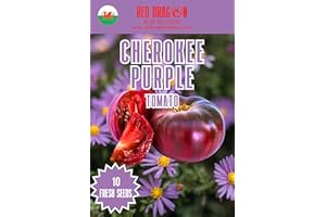 RED DRAGON SEEDS Cherokee Purple Tomato Seeds - 10 Fresh Purple Cherokee Tomato Seeds