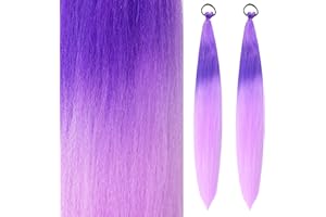Dalababa 2 PCS Ponytail Extension with Elastic Tie, Synthetic Braided Extensions Gradient Colour Hair Accessories for Women Girls Kids Cosplay Performance Party Festival