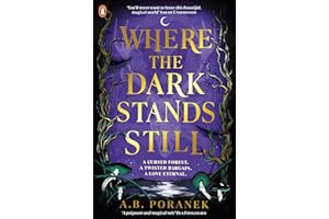 Where the Dark Stands Still: A sweeping, gothic YA fairytale romance