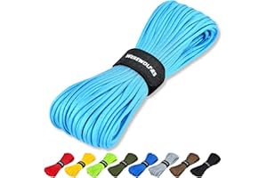 WEREWOLVES Paracord Rope, 7 Strands 4mm 100ft Parachute Cord for Crafts, DIY Projects, Survival Bracelets (Sky Blue, 100 Feet)