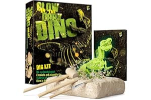 Dr. Daz - Dinosaur T-Rex Fluorescents Kit de Fouille pour Enfants-Excaver et Assembler 16 Fossiles de Dino-Jouets Educatifs pour Les 6 7 8 9 10 Ans