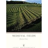 Medieval Fields: No. 28 (Shire Archaeology)