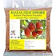 VS Products Aalam Pazham Powder, 150g, Banyan Fruit Powder, Indian Fig, Bargad, Ficus Bengalensis Fruit Powde, 150g