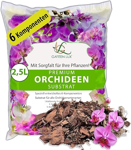 8 variétés de prunes - PHOTOS des variétés des PRUNES