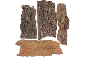 Cabilock 4Pcs Reptile Cork Bark Decoration, Terrarium Bark Decor Reptile Hide Tree Decor Terrarium Lizard Tank Accessories for Turtles, Lizards, Bearded Dragons, Chameleons