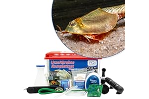 AQ4Aquaristik Triops longicaudatus Premium Komplett-Set 6 l mit ca. 200 Urzeitkrebs Eiern, Becken, LED-Beleuchtung, Heizung, Filter, Luftpumpe, Kescher, Futter, Zubehör, Anleitung