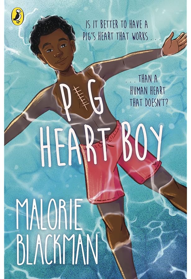 The Other Side of Truth (A Puffin Book) : Naidoo, Beverley: Amazon