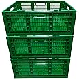 SINGHAL Storage Crates Pack of 3, Stackable Plastic Container Foldable Basket Multipurpose 500x325x200 mm - Green
