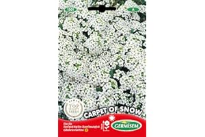 Germisem Carpet of Snow Alyssum Semillas de Flor 0.5 g (EC1501)