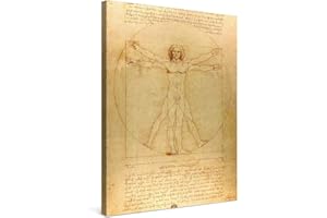 PICANOVA – Leonardo da Vinci – Homme de Vitruve 30x40cm – Photo sur Toile – Impression sur Toile Haut de Gamme – Image sur Toile pour Décoration Murale Moderne – La Collection Art Classique