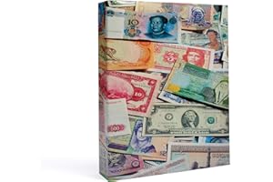 Leuchtturm 309759 Album di Banconote Bills - Album da Collezione per 300 Banconote - incl. 100 Buste Senza acidi e plastificanti