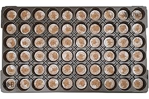 Plaque/Plateau à semis avec Pastilles de Jiffy 7-60 Alvéoles (53x31cm)