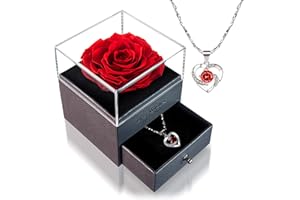 LOVAPPY Eternal Enchanted Forever Preserved Rose with Necklace - Infinity Rose in Love Box - Made from Real Fresh Beauty Rose - Romantic Gifts for Her, Female, Mom (Red)