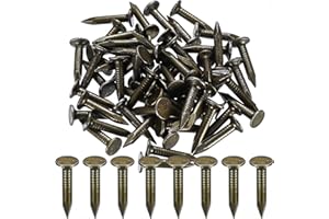 HMKESOTERIC 100 Pz Chiodi per Tetto, Chiodi per Coperture Zincati 25mm, Chiodi in Feltro per Capannoni di Legno, Chiodi in Feltro per Tetti, Chiodi a Testa Extra per Legno Capannoni Mobili Costruzioni Taglia