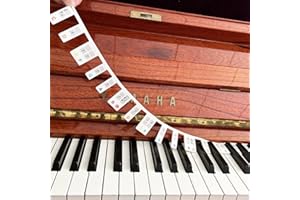 STLOVe® Piano Keyboard Stickers, 88 key Beginners Keyboard Note Chart, Colorful Staff Paper Piano Practice Aids, Piano Labels Cover Four Octaves for Medium to Full Size Piano Keyboard