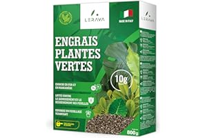 LERAVA Engrais Plantes Vertes Intérieur (800 g) - Engrais Bio avec Fer et Manganèse pour Feuillage Vigoureux - Nutrition Complète pour Plantes Vertes Intérieur et Extérieur
