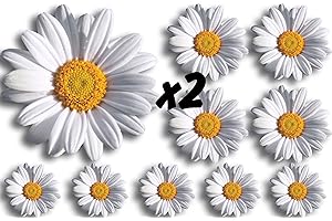 WATERSHED DESIGNS Daisy-Flower-Decals-Car-Stickers-Graphics-Nursery-Wall-Window-Decorations-Art (20 Pack)