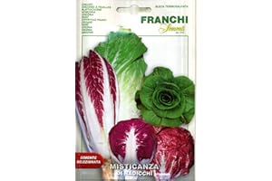 FRANCHI SEMENTI SEMENTI DI ORTAGGI DI QUALITA' PER USO HOBBYSTICO IN BUSTINA TERMOSALDATA (MISTICANZA DI RADICCHI)