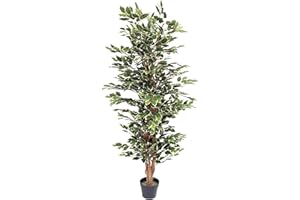 Blooming Artificial - Ficus Tree Artificial Plant, Large Fake Plant in Pot for House and Indoors, Year Round Decorative Realistic Faux Foliage (Variegated) (150cm/ 5ft)