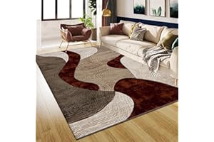 B&B Velvet Curve Area Rugs for Indoor - Luxury Super Soft Cozy Dense Thick Pile Shaggy Rug for Bedroom Living Room Kitchen Hall Entrance Carpet Mat (120 x 170 cm, Rust)