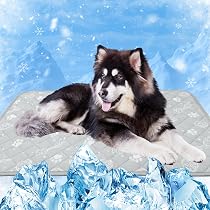 Kühlmatte Für Hunde – Rutschfest, Waschbar & Ohne Chemie, Für Heiße Sommertage