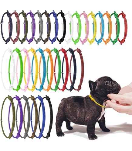 15pcs Pet ID Collars, 15 Colors Whelping Puppies Collars Double Sided