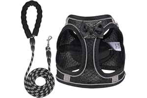 WENDISI Dog Harness with Leash Set, Step-in Breathable Puppy Cat Dog Vest Harnesses, No Pull Adjustable Reflective Puppy Harness with Soft Padded Vest for Extra-Small/Small Medium Large Dogs and Cats