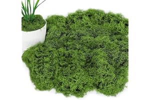 PACUM Muschio Stabilizzato Artificiale Islandese 100g - Muschio Decorativo Finto, Foglie Riutilizzabili (Verde Scuro)